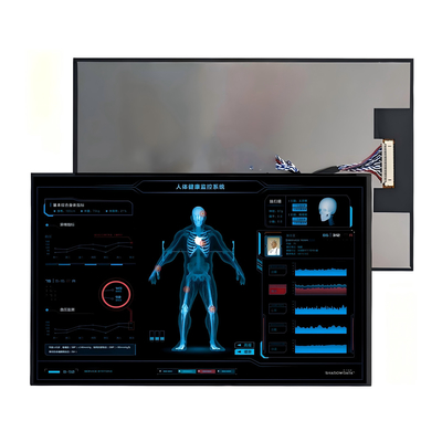 10.1-Inch TFT LCD Display - High-Res Touchscreen For Industrial &amp; Automotive Use